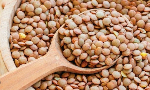 LENTEJON CANADIENSE 5 KG.