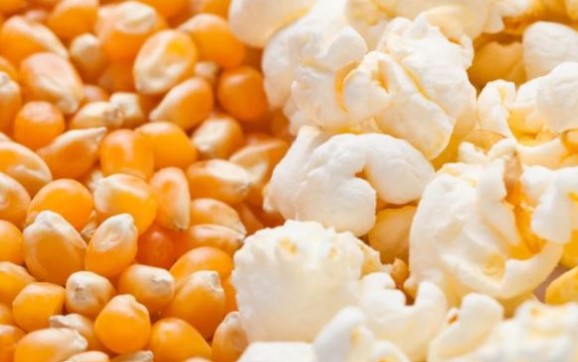 MAIZ PISINGALLO/POP 500 GR.